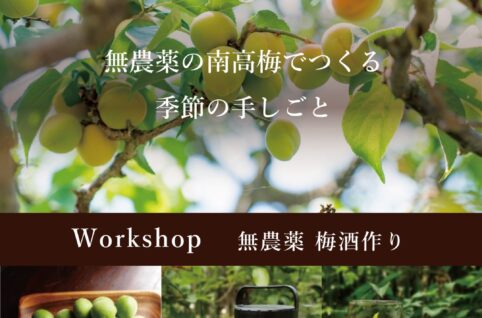 梅酒づくりワークショップ